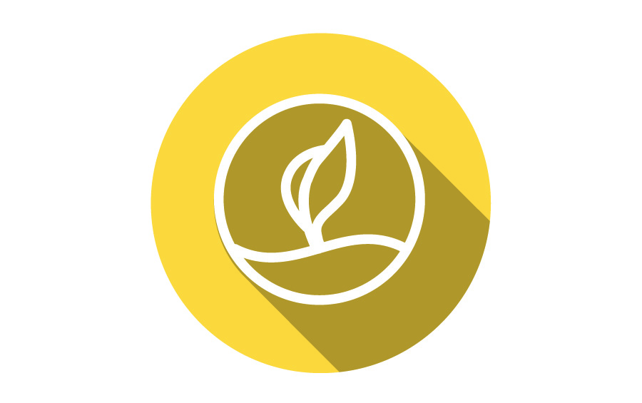 Graphic of seedling. Image courtesy of Getty Images